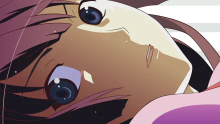 HD PC desktop wallpaper featuring a close-up of Hitagi Senjōgahara from the Monogatari anime series, showcasing her distinctive eyes and hair.