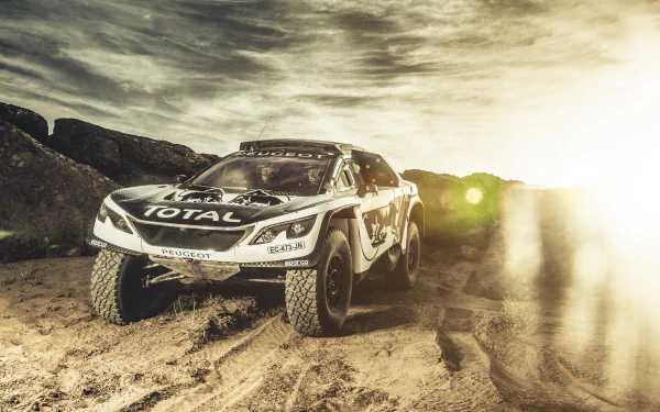 Sepia-toned 4K Ultra HD rally car races on sunny sandy terrain, kicking up dust against a dramatic sky, captured as a dynamic sports desktop wallpaper.