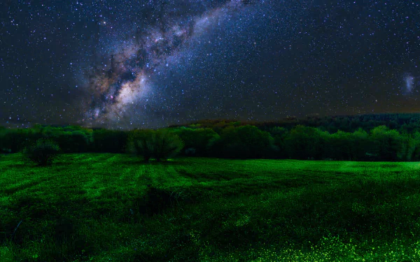 HD desktop wallpaper featuring a starry night sky with the Milky Way galaxy in view above a lush, green nature landscape.
