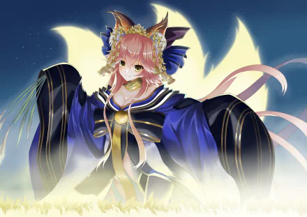 HD desktop wallpaper featuring Tamamo no Mae in her Caster form from Fate/Grand Order. The anime character is beautifully illustrated with detailed, vivid colors under a night sky.