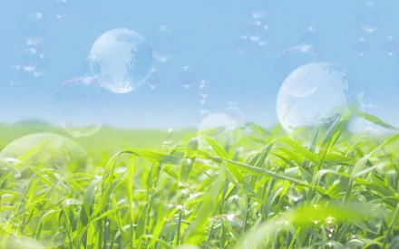 HD desktop wallpaper featuring a vibrant green meadow under a clear blue sky, adorned with artistic floating bubbles. Tags: fashion, artistic, nature.
