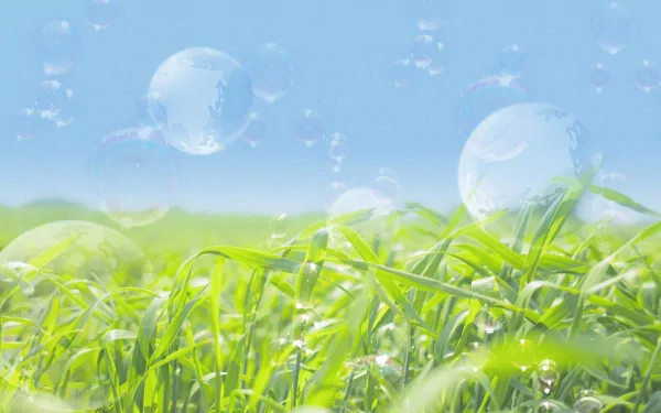 HD desktop wallpaper featuring a vibrant green meadow under a clear blue sky, adorned with artistic floating bubbles. Tags: fashion, artistic, nature.
