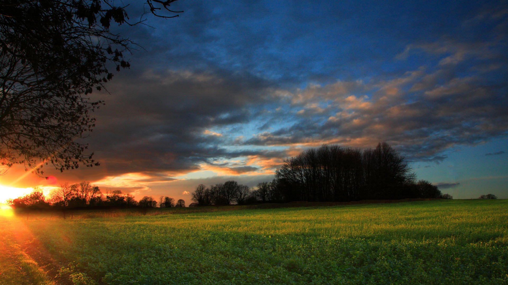 HD PC desktop wallpaper featuring a serene nature scene with a vibrant sunset casting warm light over a green field and silhouetted trees under a dramatic sky.