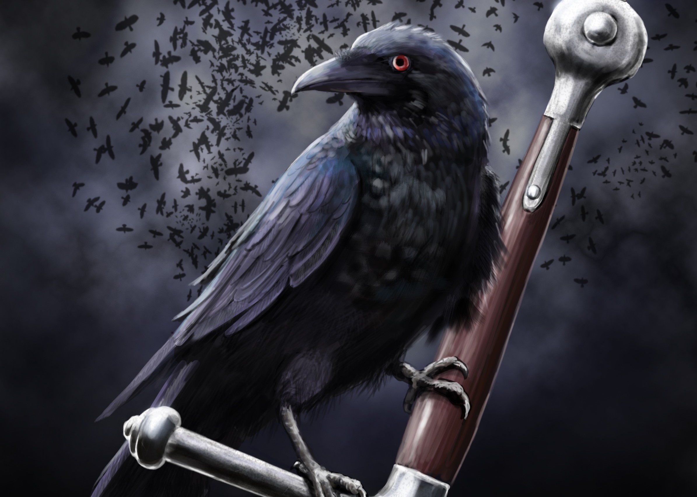 Animal Crow HD Wallpaper by dashinvaine