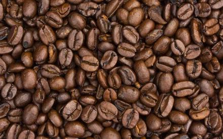 Close-up of rich, dark roasted coffee beans, creating an inviting texture. This HD image serves as an attractive desktop wallpaper, celebrating coffee culture.