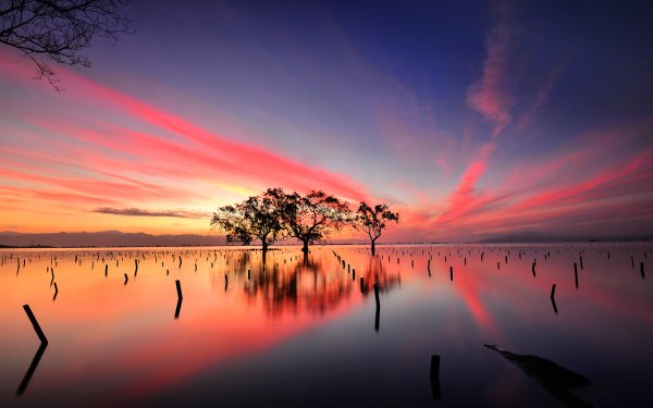Nature Reflection Tree Sky Sunset Lake HD Wallpaper | Background Image
