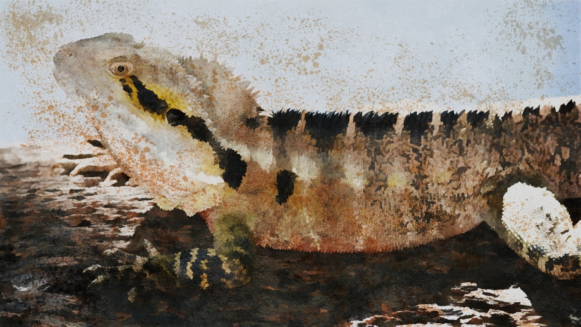 Australian Water Dragon at Queens Park, Ipswich Queensland, Australia (Paint Splash) by lonewolf6738