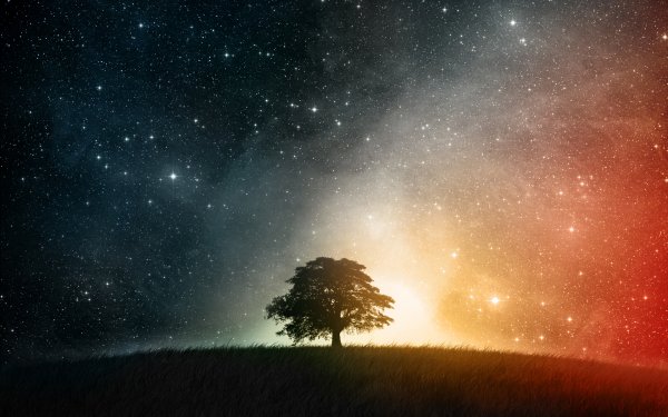Tierra/Naturaleza Mundo de ensueño Paisaje Hierba Cielo Estrellas Árbol Espacio Fondo de pantalla HD | Fondo de Escritorio