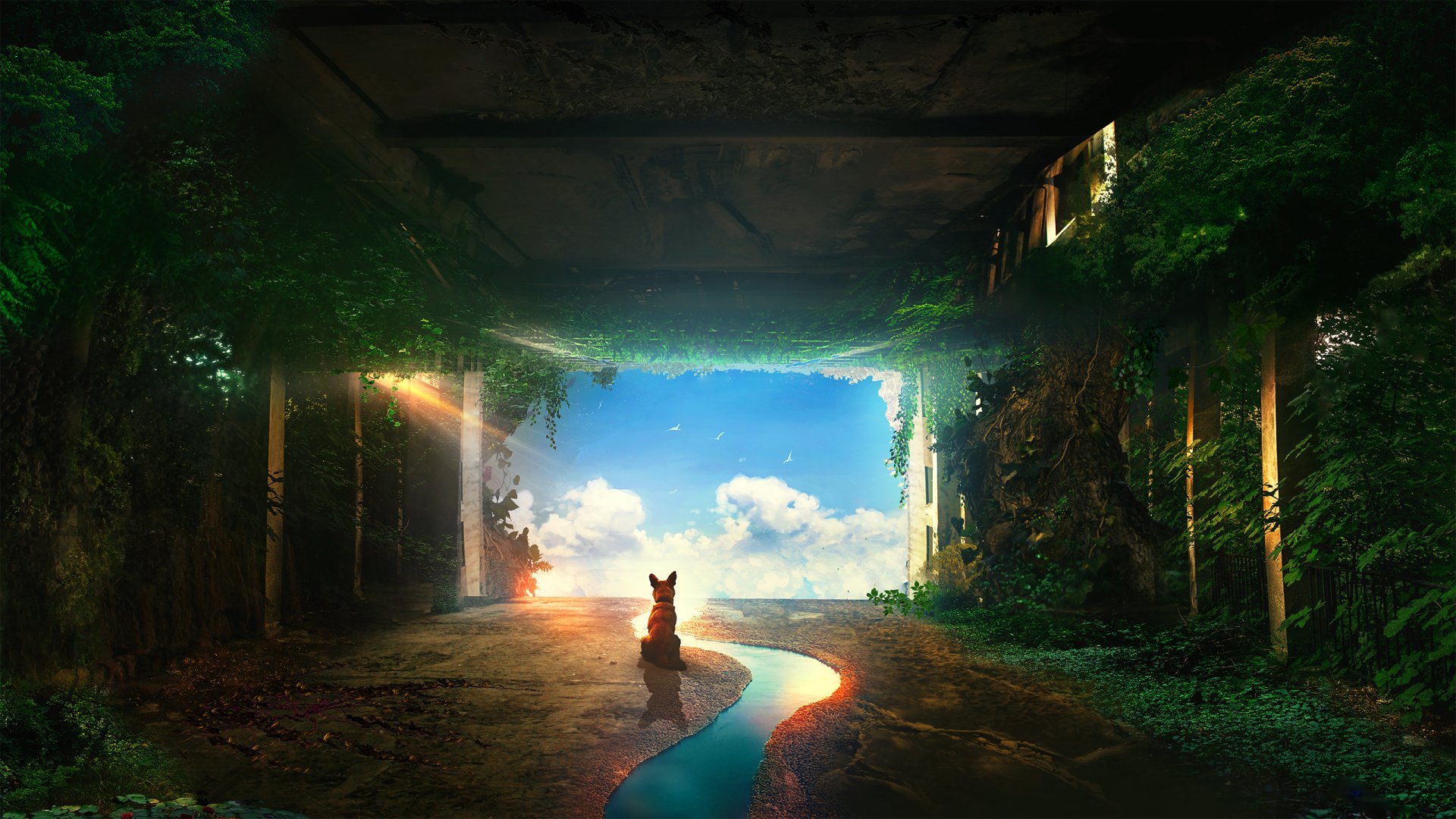 A dog sits by a stream under a sunbeam in a sci-fi post-apocalyptic landscape. The HD wallpaper showcases a blend of nature and ruins.