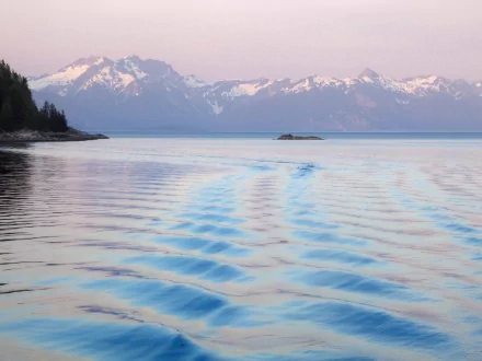  Blue Mouse Cove, Glacier Bay National Park, Alaska