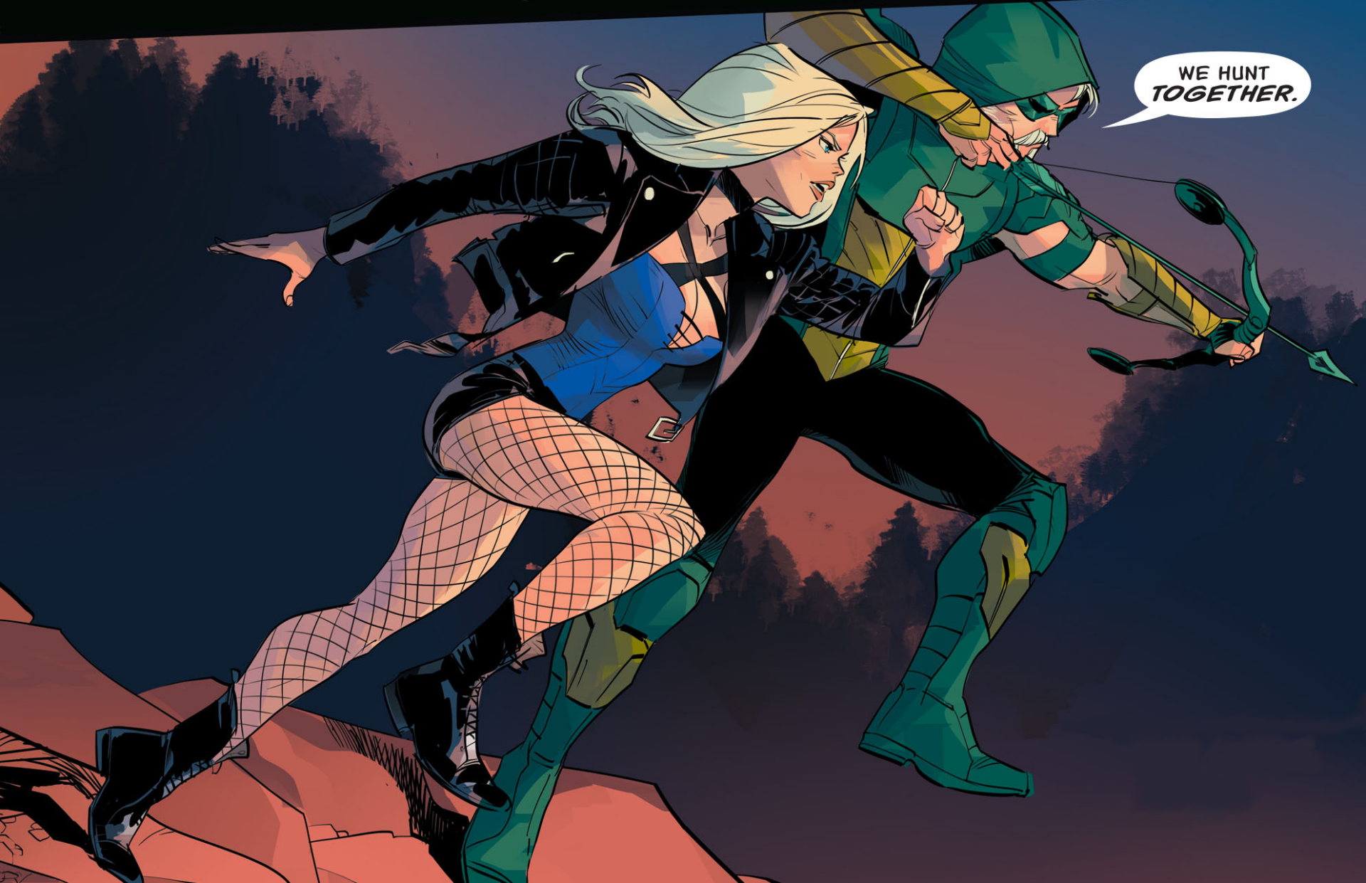 Download DC Comics Black Canary Comic Green Arrow HD Wallpaper