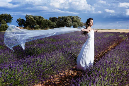 A bride in a white wedding dress stands in a summer lavender field, her veil flowing in the breeze, captured with stunning depth of field and vibrant purple flowers.