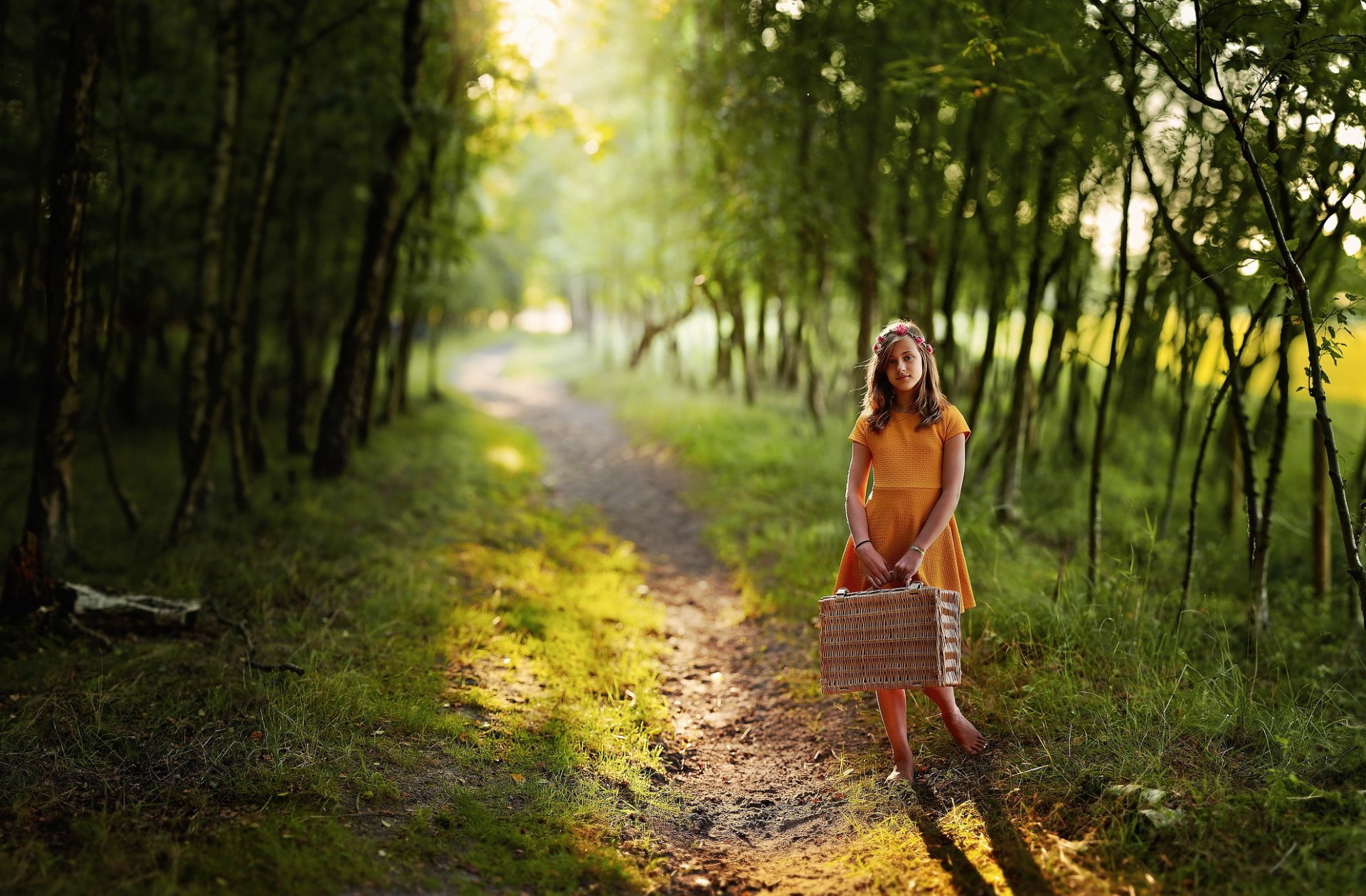 Download Depth Of Field Path Sunny Brunette Orange Dress Photography ...