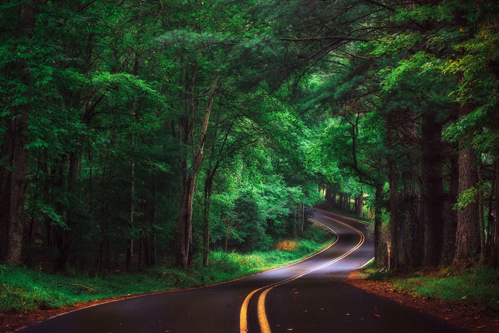 Man Made Road HD Wallpaper