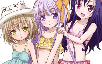 アニメ Trois アニメ『Z/X Code reunion』3話は温泉シーン収録！ - 電撃オンライン