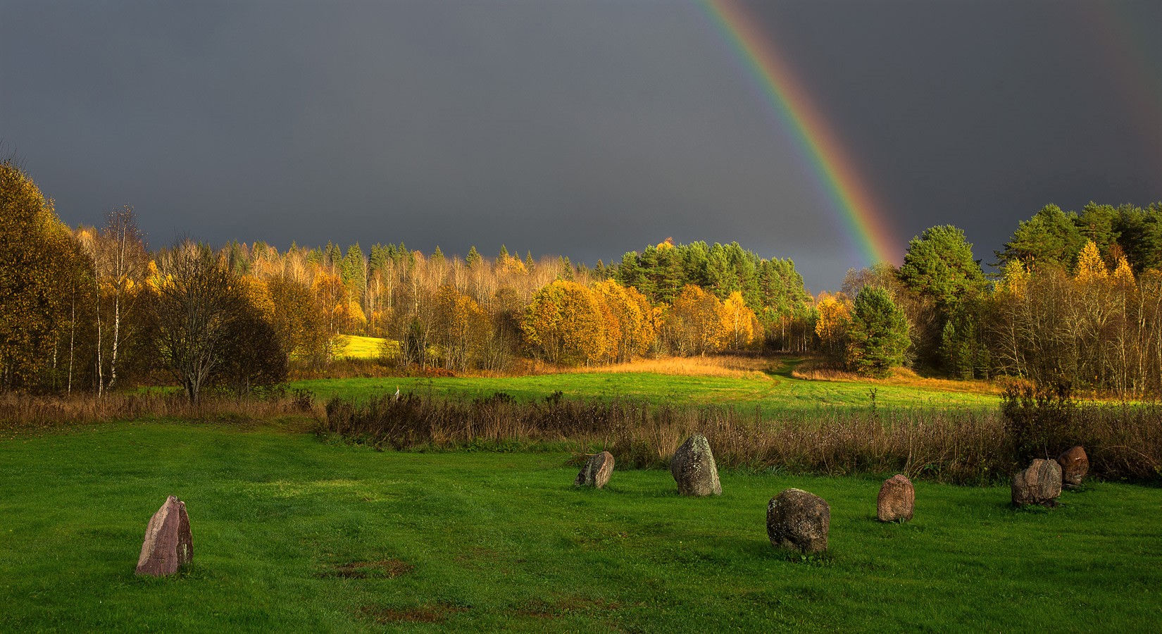 Nature Rainbow HD Wallpaper | Background Image