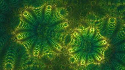  Underwater Life