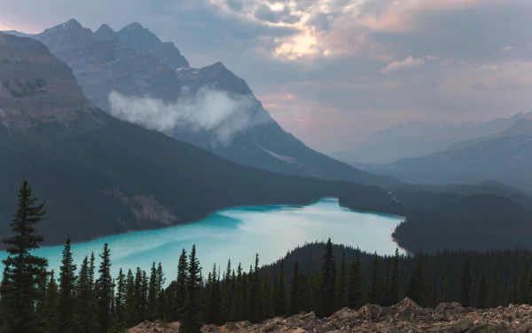 mountain landscape forest banff national park Canada nature lake HD Desktop Wallpaper | Background Image