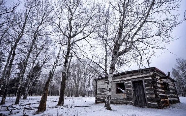 A rustic log cabin surrounded by bare trees and a blanket of snow, set against a cold winter sky in a serene forest landscape.