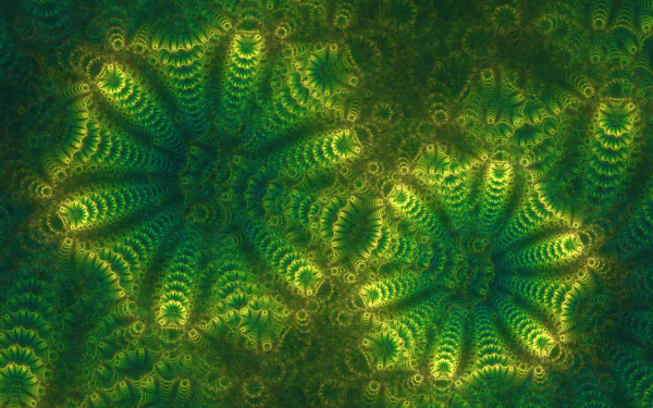  Underwater Life