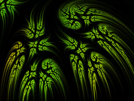  Water Plants