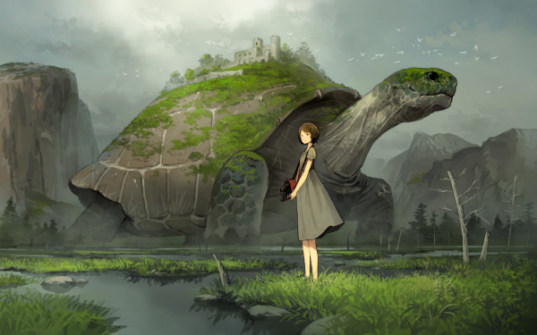 Anime Original Turtle HD Wallpaper | Background Image