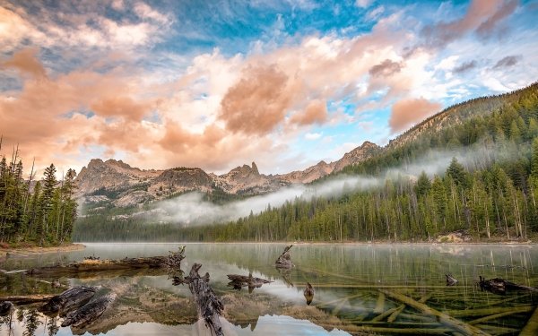Nature Lake Lakes Fog Forest Cloud Sky Mountain Log HD Wallpaper | Background Image
