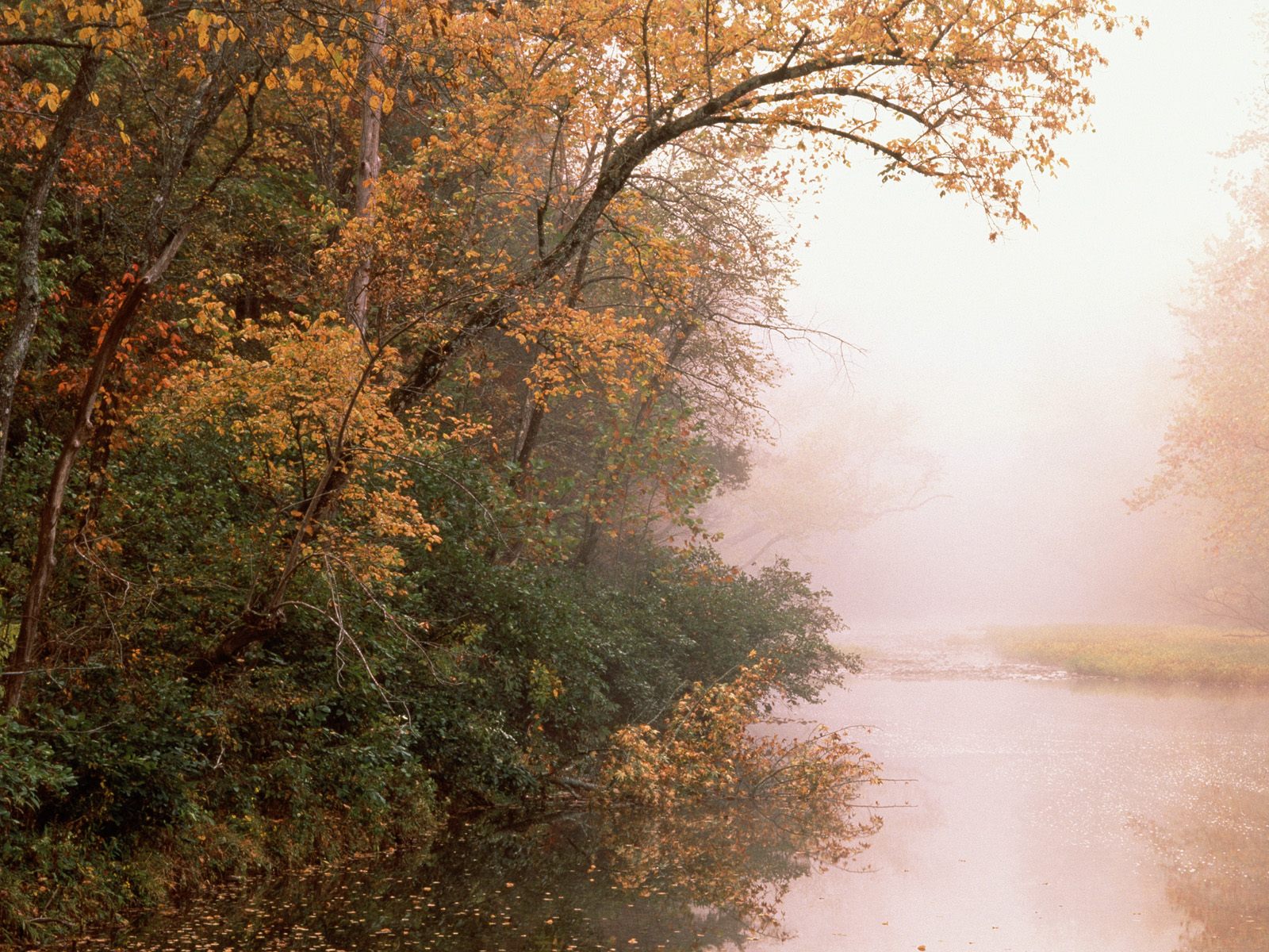 Fall foliage on Buffalo River in Arkansas.