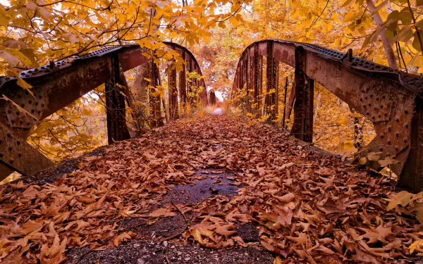 Rusty metal bridge covered with fallen leaves, surrounded by vibrant autumn foliage, captured in a high-definition PC desktop wallpaper.