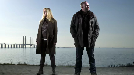 TV Show The Bridge (2011) HD Desktop Wallpaper | Background Image
