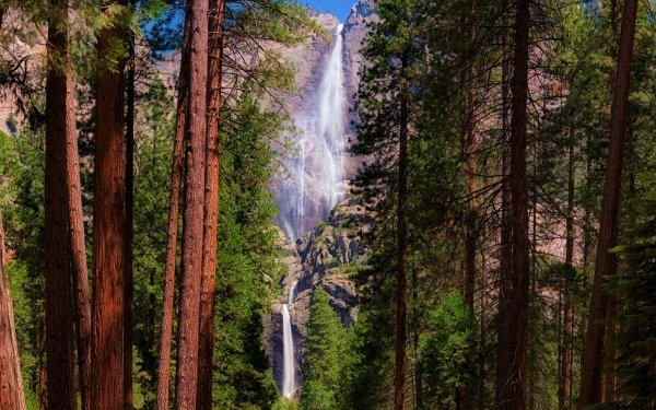 Earth Waterfall Waterfalls Mountain Tree Forest Cliff HD Wallpaper | Background Image
