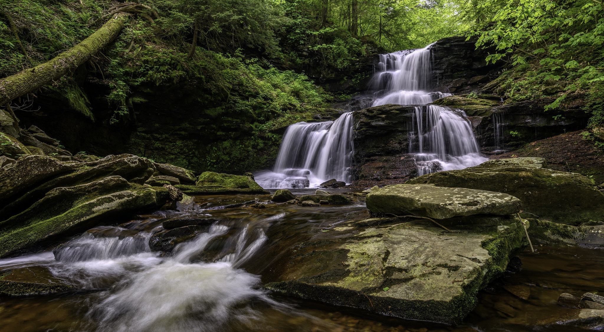 Download Greenery Stream Nature Waterfall HD Wallpaper