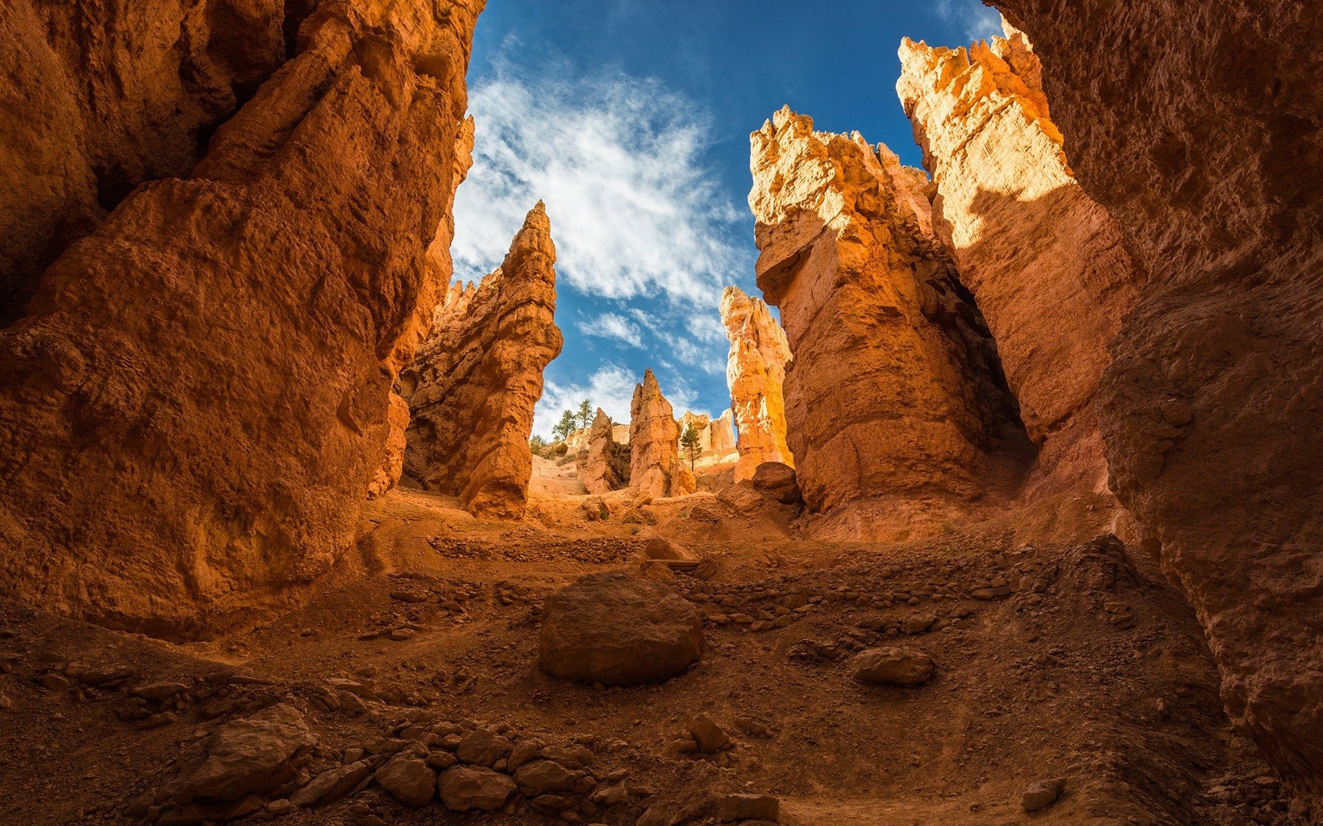 A stunning HD desktop wallpaper of Bryce Canyon National Park showcasing vibrant desert canyons under a bright blue sky.