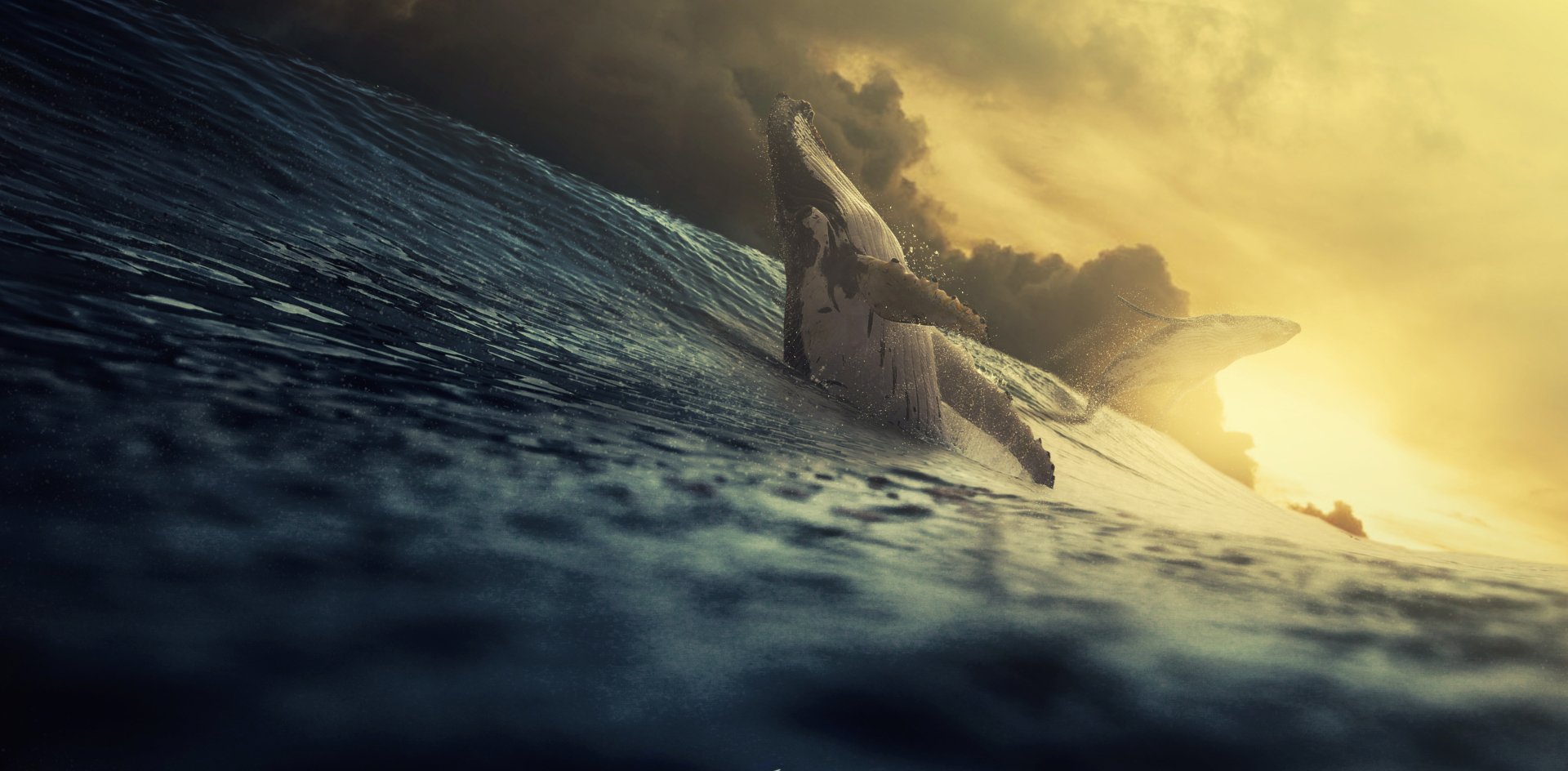 Humpback whale breaching the ocean surface at sunset, captured in stunning detail for a 4K Ultra HD PC desktop wallpaper background.