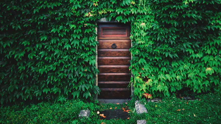 HD PC desktop wallpaper and background: a wooden door set in a house wall overgrown with green ivy, framed by lush groundcover — a man-made entrance peeking through foliage.