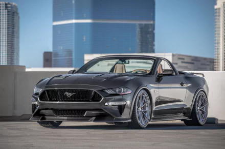 A high-definition desktop wallpaper featuring a sleek silver Ford Mustang muscle car parked in an urban setting, with modern buildings in the background.