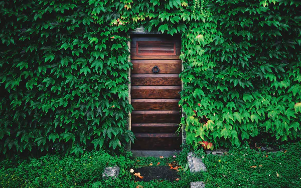 HD PC desktop wallpaper and background: a wooden door set in a house wall overgrown with green ivy, framed by lush groundcover — a man-made entrance peeking through foliage.