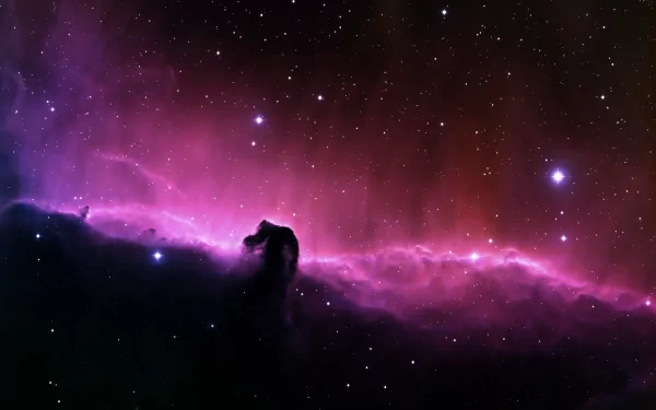 horse head nebula pink Sci Fi nebula HD Desktop Wallpaper | Background Image