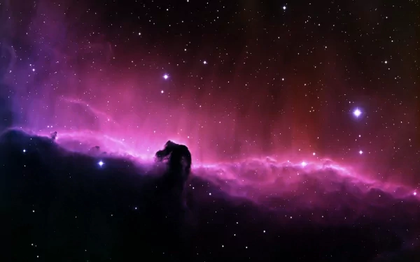 HD desktop wallpaper featuring the vibrant pink Horsehead Nebula set against a star-filled, sci-fi inspired cosmic background.