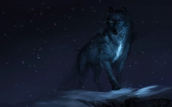 Featured image of post Wolf Wallpaper 4K For Pc / Download, share or upload your own one!