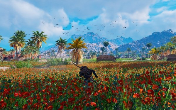 Video Game Assassin's Creed Origins Assassin's Creed Field Poppy HD Wallpaper | Background Image