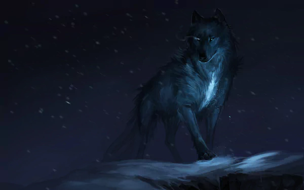 Fantasy-themed HD desktop wallpaper of a lone wolf standing on a snowy cliff under a dark night sky.