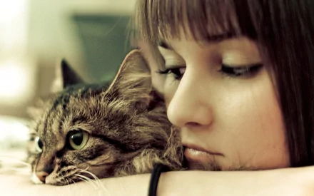 A high-definition desktop wallpaper featuring a woman resting her head on her arm beside a fluffy cat, both looking serene and contemplative.