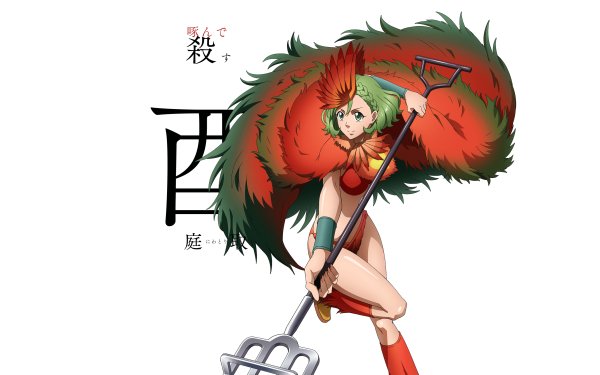 Anime Juuni Taisen Ryōka Niwa HD Wallpaper | Background Image