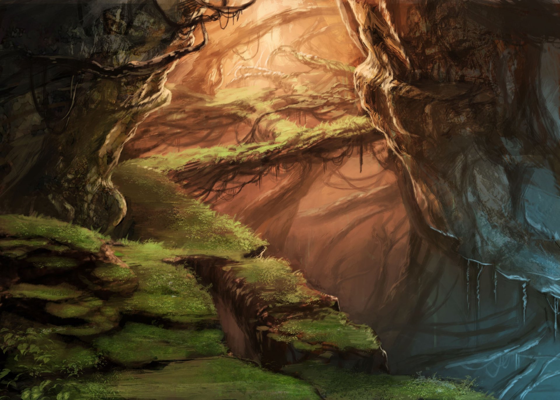 HD anime forest scene depicting a fantasy woodland with moss-covered rocks and glowing light filtering through dense trees, designed as an original PC desktop wallpaper.