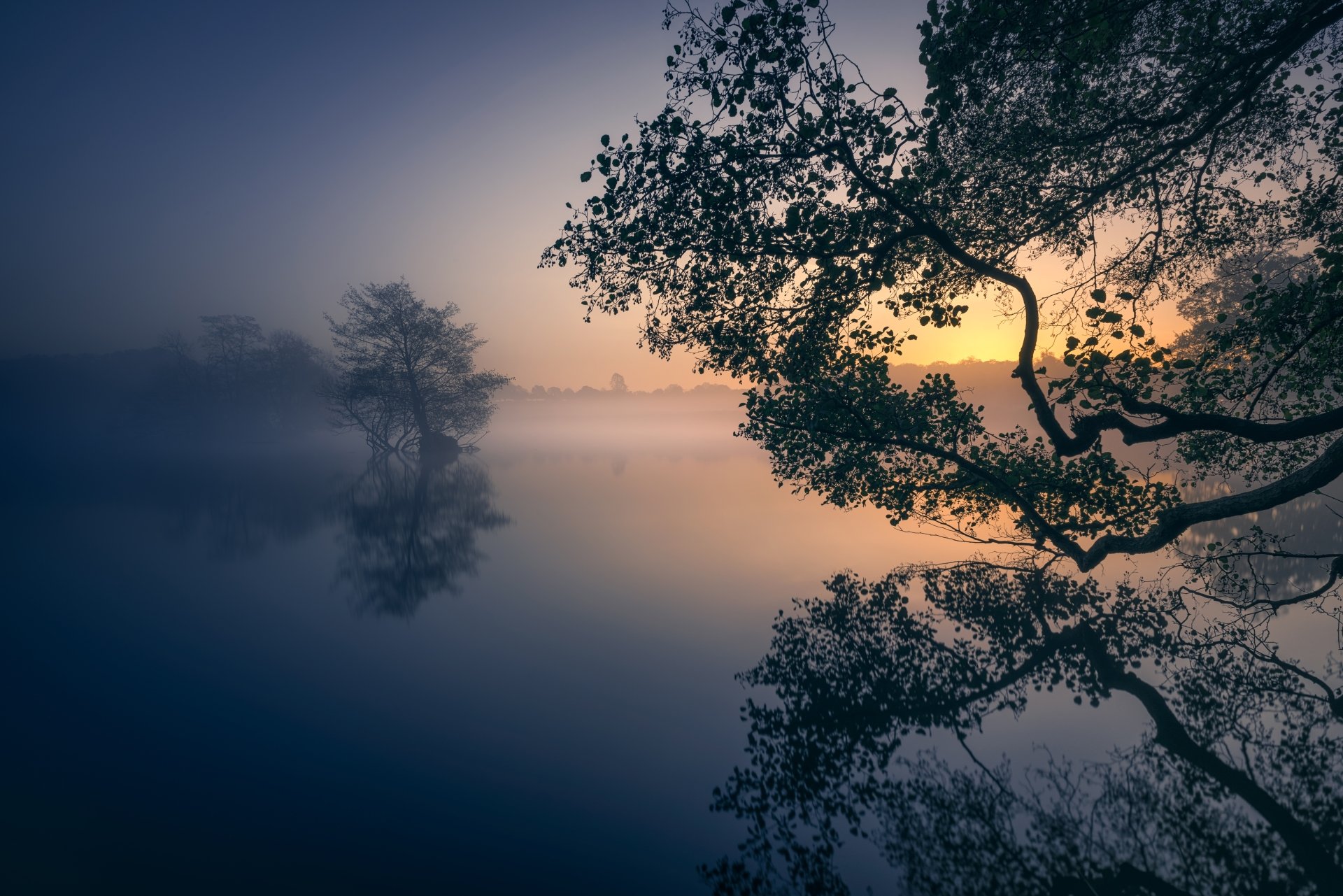 HD desktop wallpaper of a serene lake at sunrise, with fog and reflective water. Nature scene featuring silhouetted trees against a soft morning light.