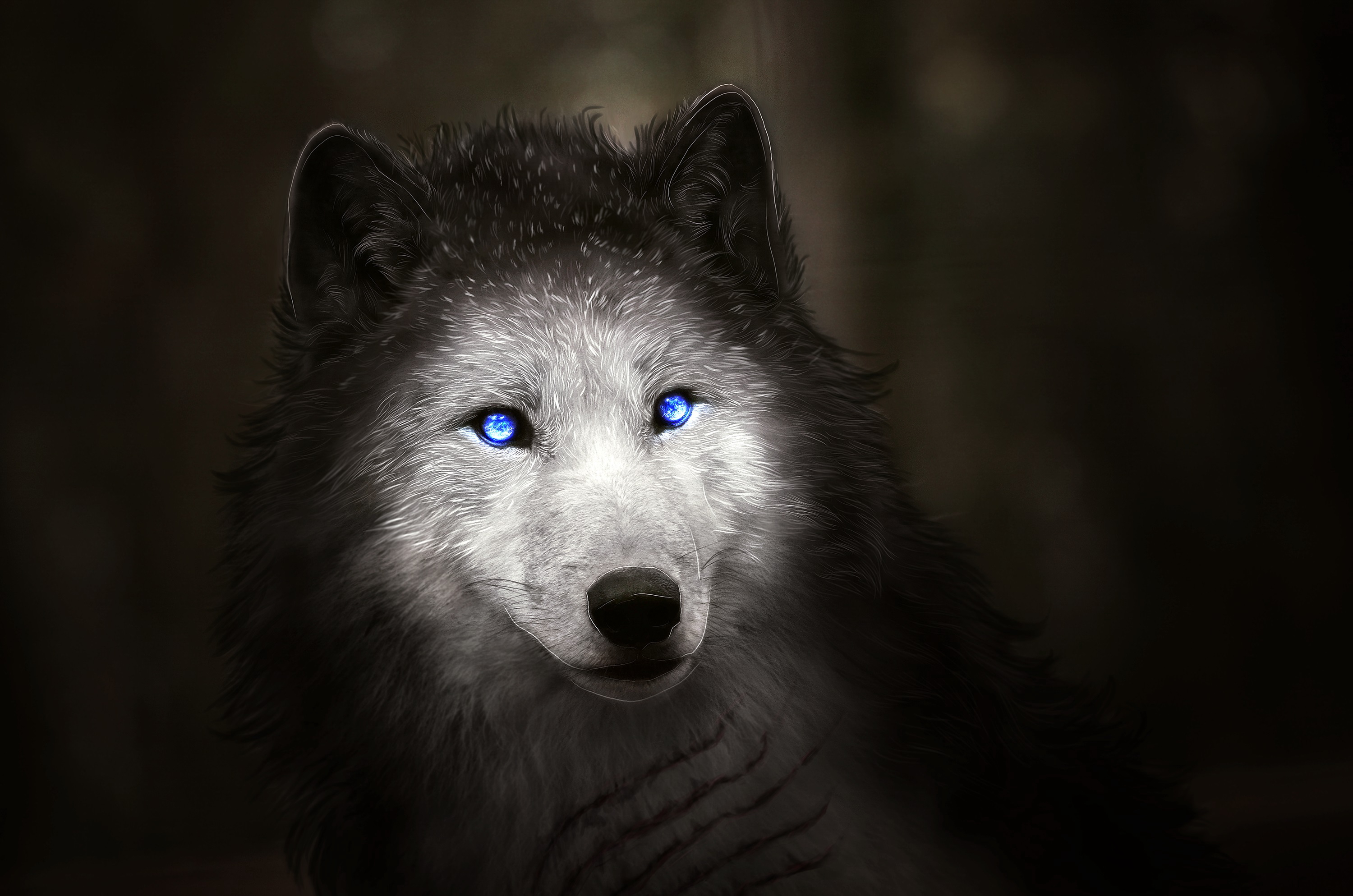 Wolf's Bright Blue Eyes by Amphispiza