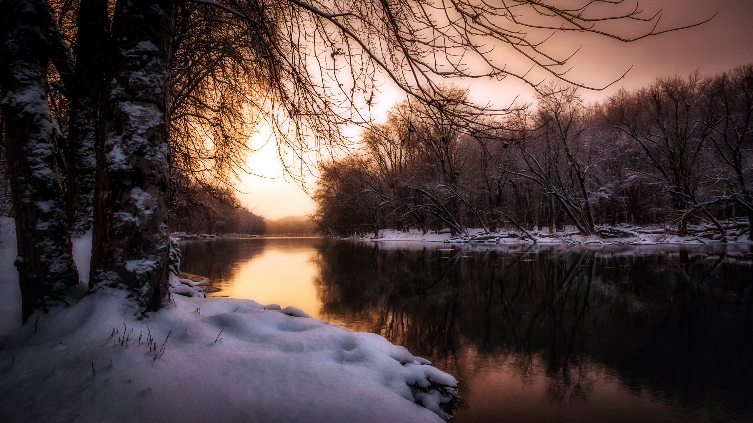 Download Tree Reflection Winter Snow Nature River HD Wallpaper