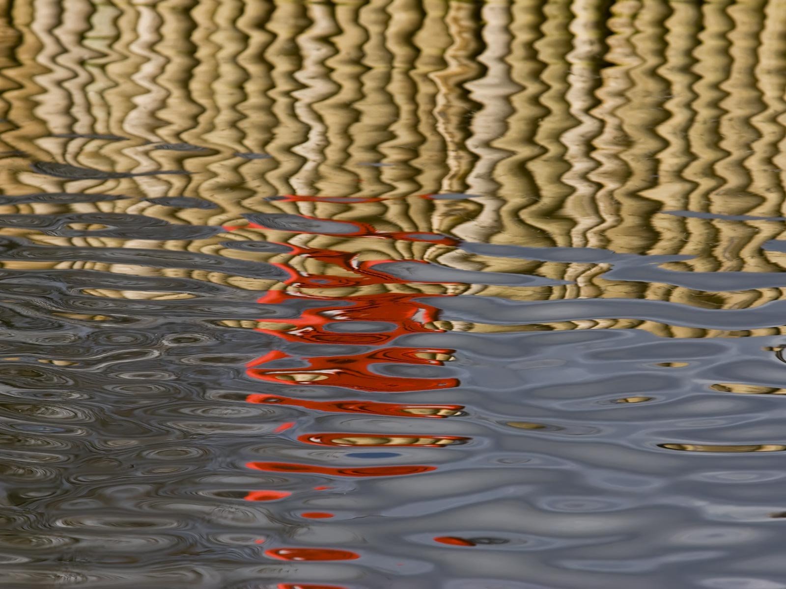 A serene water reflection showcasing gentle ripples and earthy tones, this HD nature wallpaper invites tranquility and beauty into any desktop background.