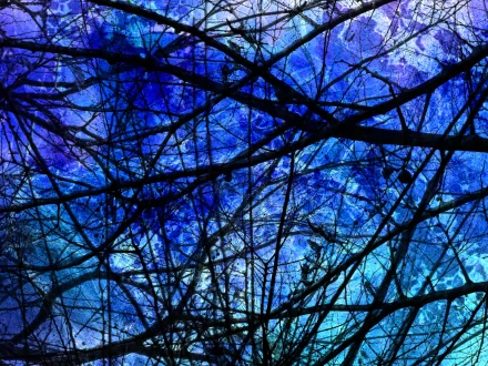 An abstract blue design featuring intricate patterns of dark branches against a vibrant blue background, serving as an engaging HD desktop wallpaper.